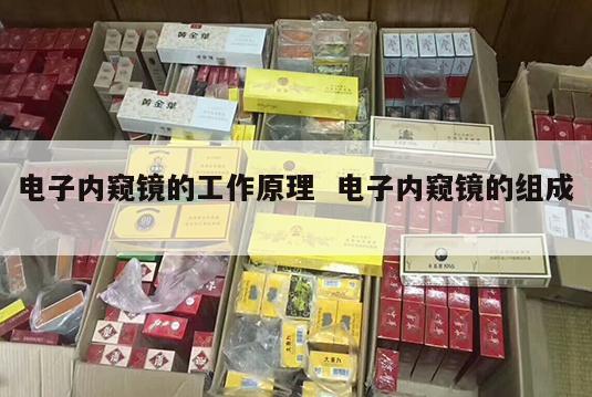 电子内窥镜的工作原理  电子内窥镜的组成 